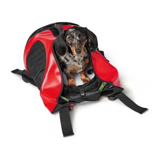 Rucksack/Tragetasche Taylor - rot