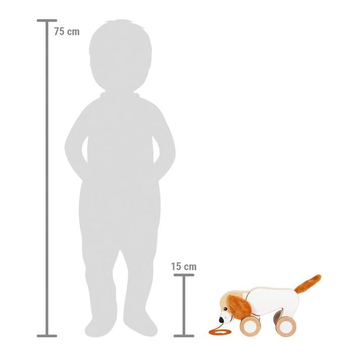 Nachziehtier Hund mit Knisterohren