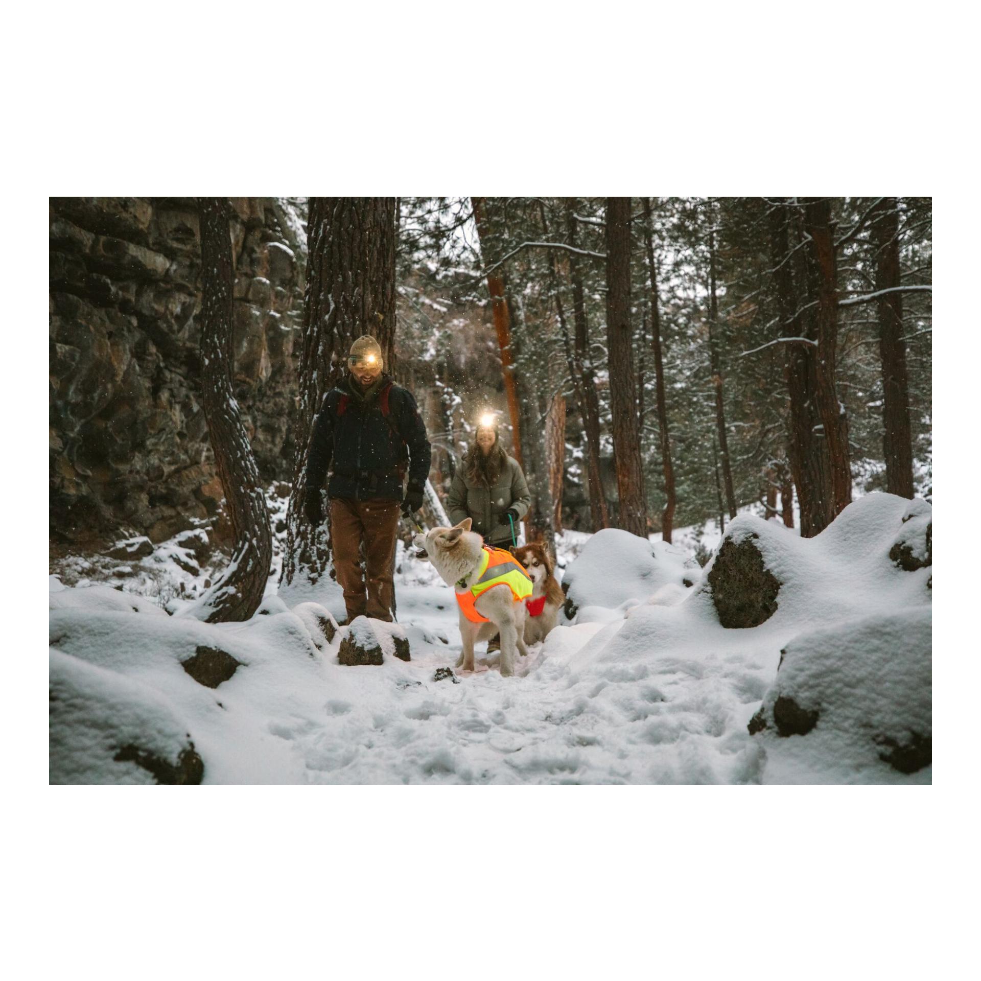 Lumenglow™ Hi-Viz Jacket Hundejacke - blaze orange