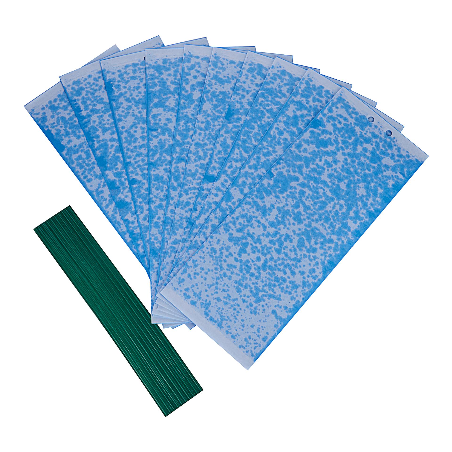 Klebetafeln für Thripse - Blaufallen