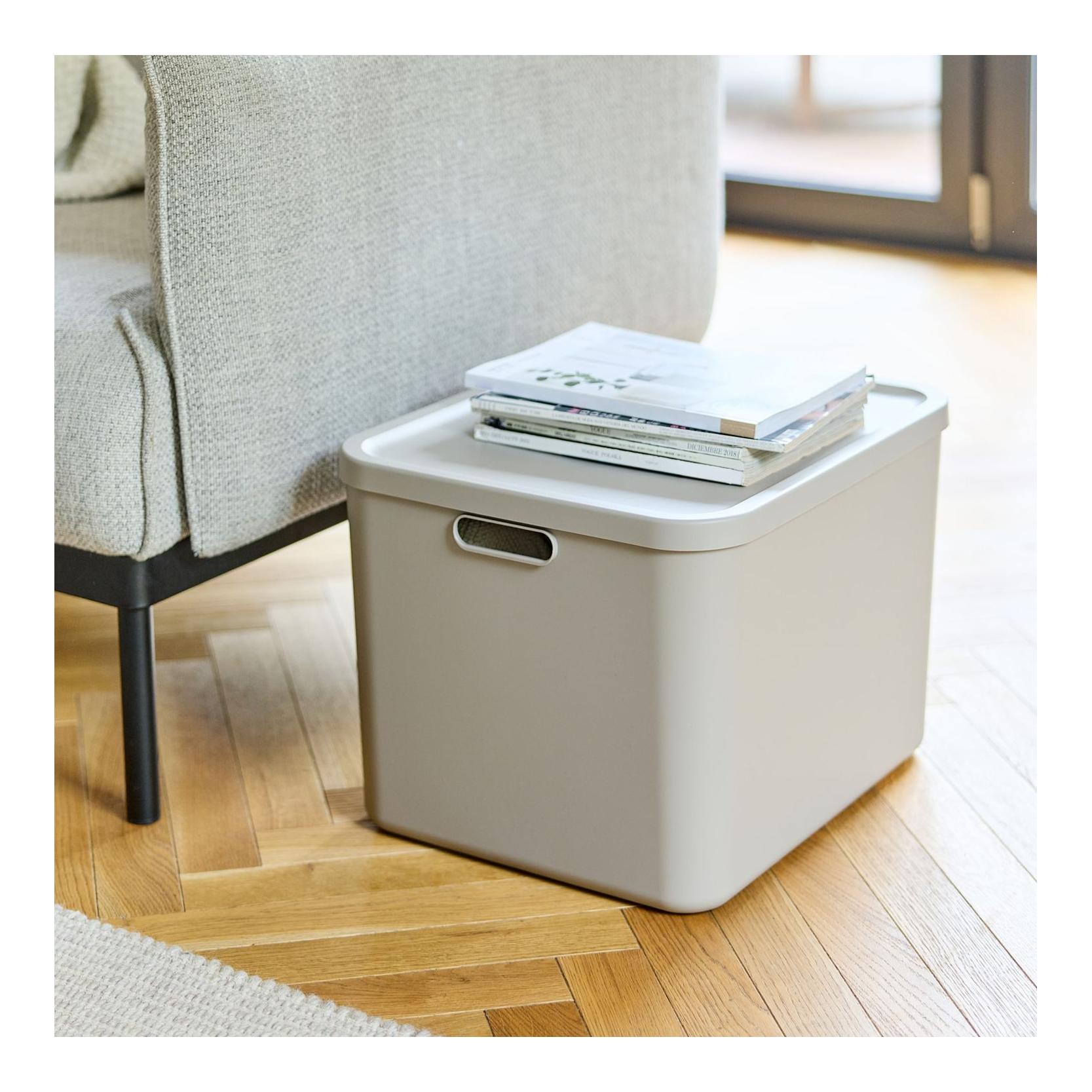 Rotho Multibox ALBULA
