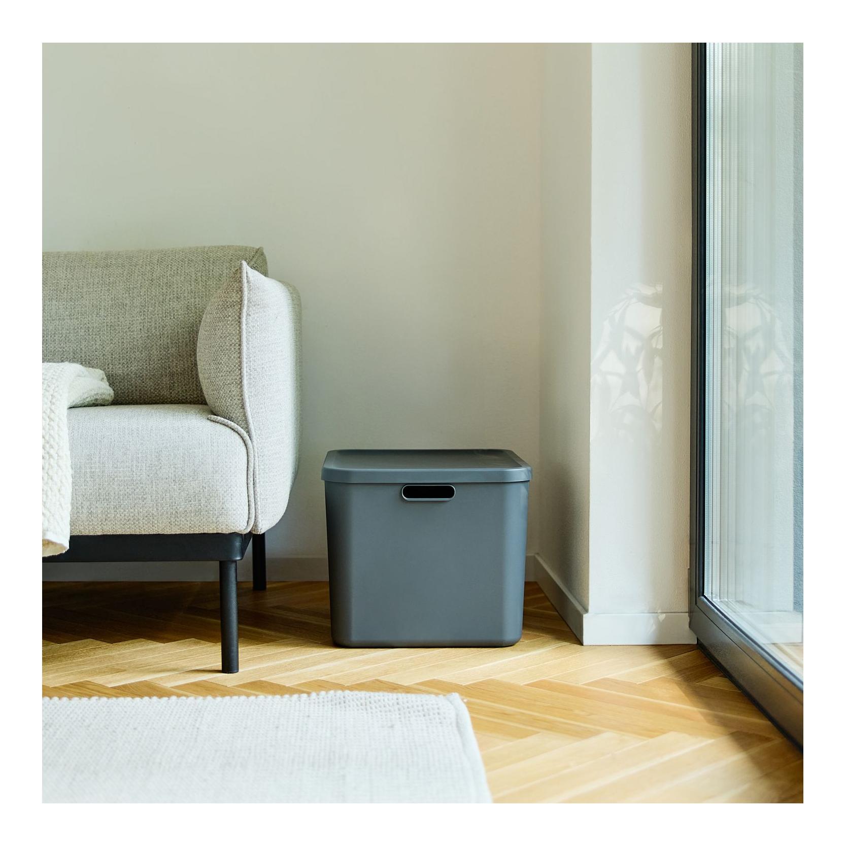 Rotho Multibox ALBULA