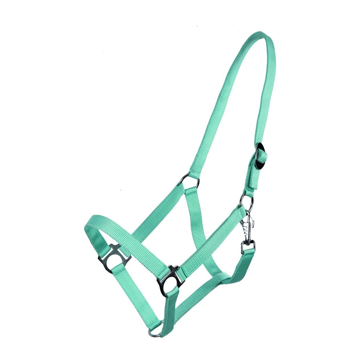 Image of QHP Nylonhalfter mit Schiebeschnalle - türkis bei Hauptner.ch