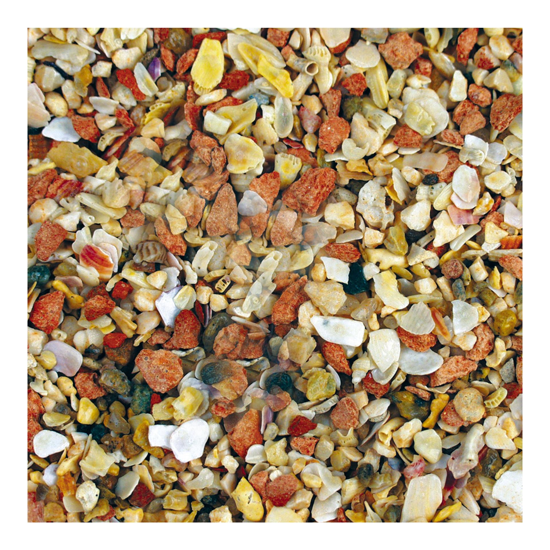 Grit mit Anis - Muschelschalen, Kalk-, Quarz- und Rotsteinen mit Anis 