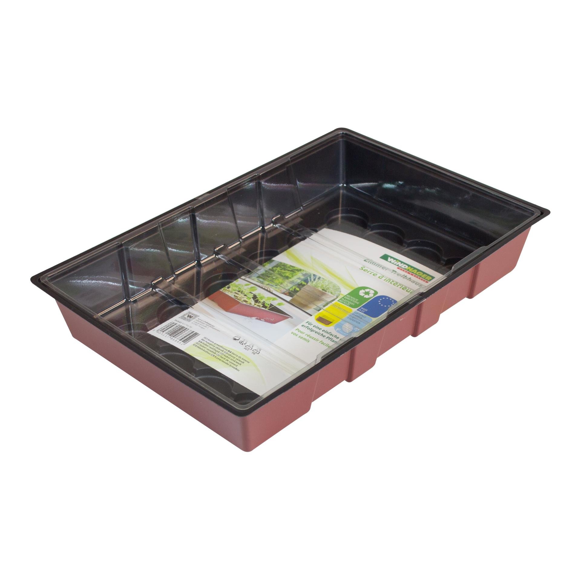 Fensterbank - Treibhaus mit Quelltabs