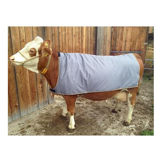 Couverture de vache pour gros bétail - pour la race tachetée et les grandes pie-noires