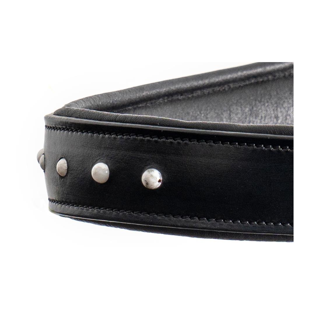 Glory System 1, mit Halsring und Balancezügel