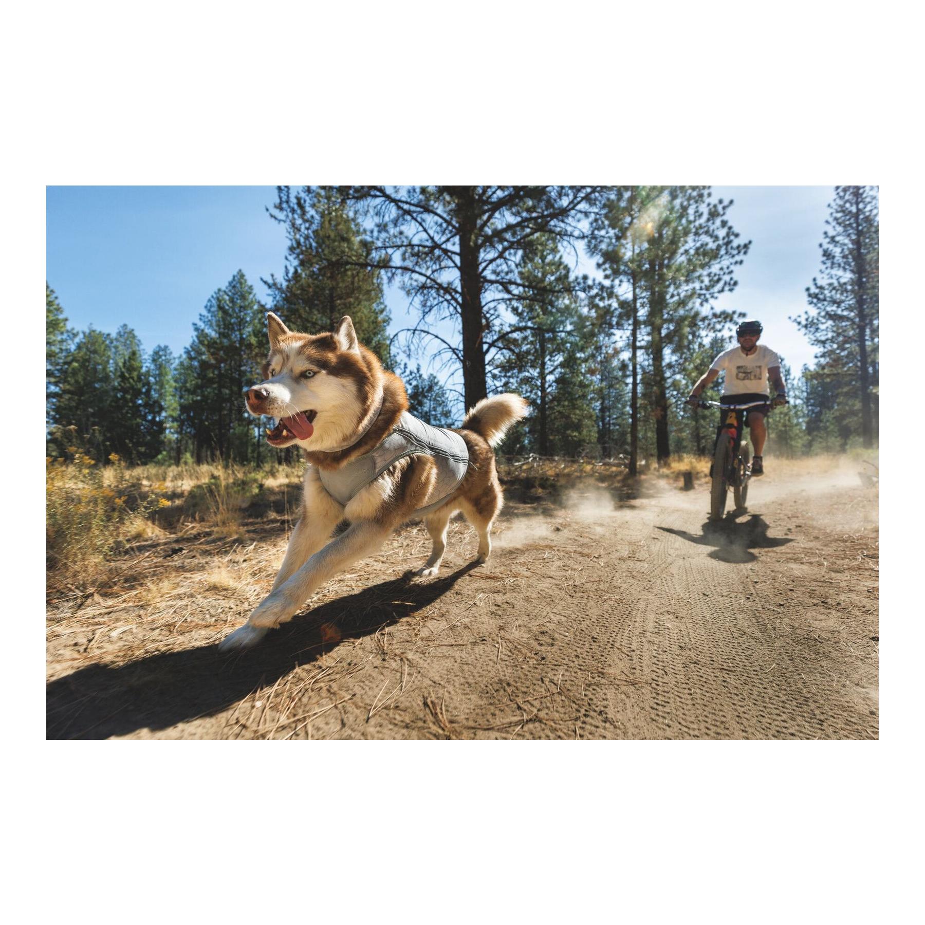 Kühlende Hundeweste Swamp Cooler Zip