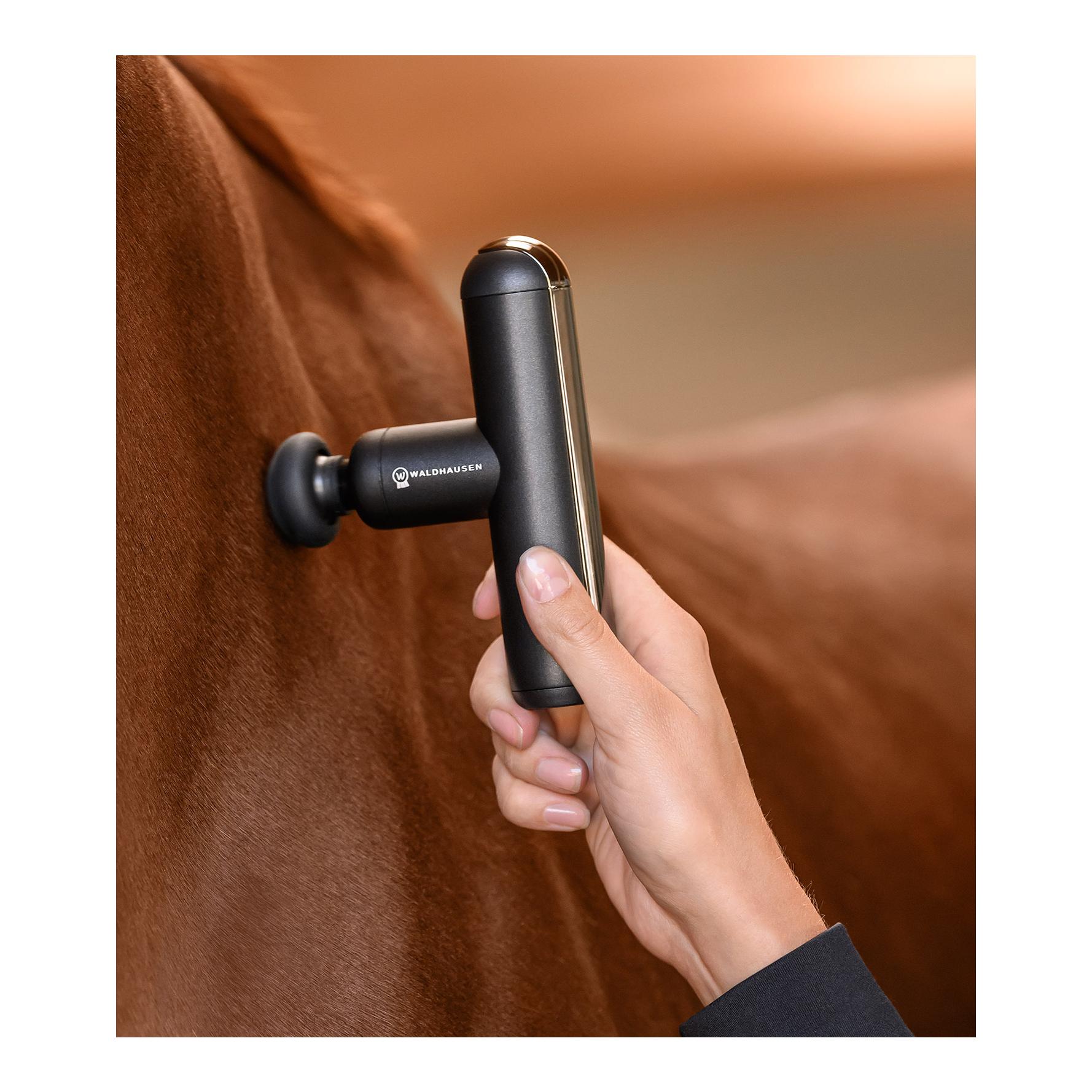Waldhausen Health + Care Massagegerät PocketRelax