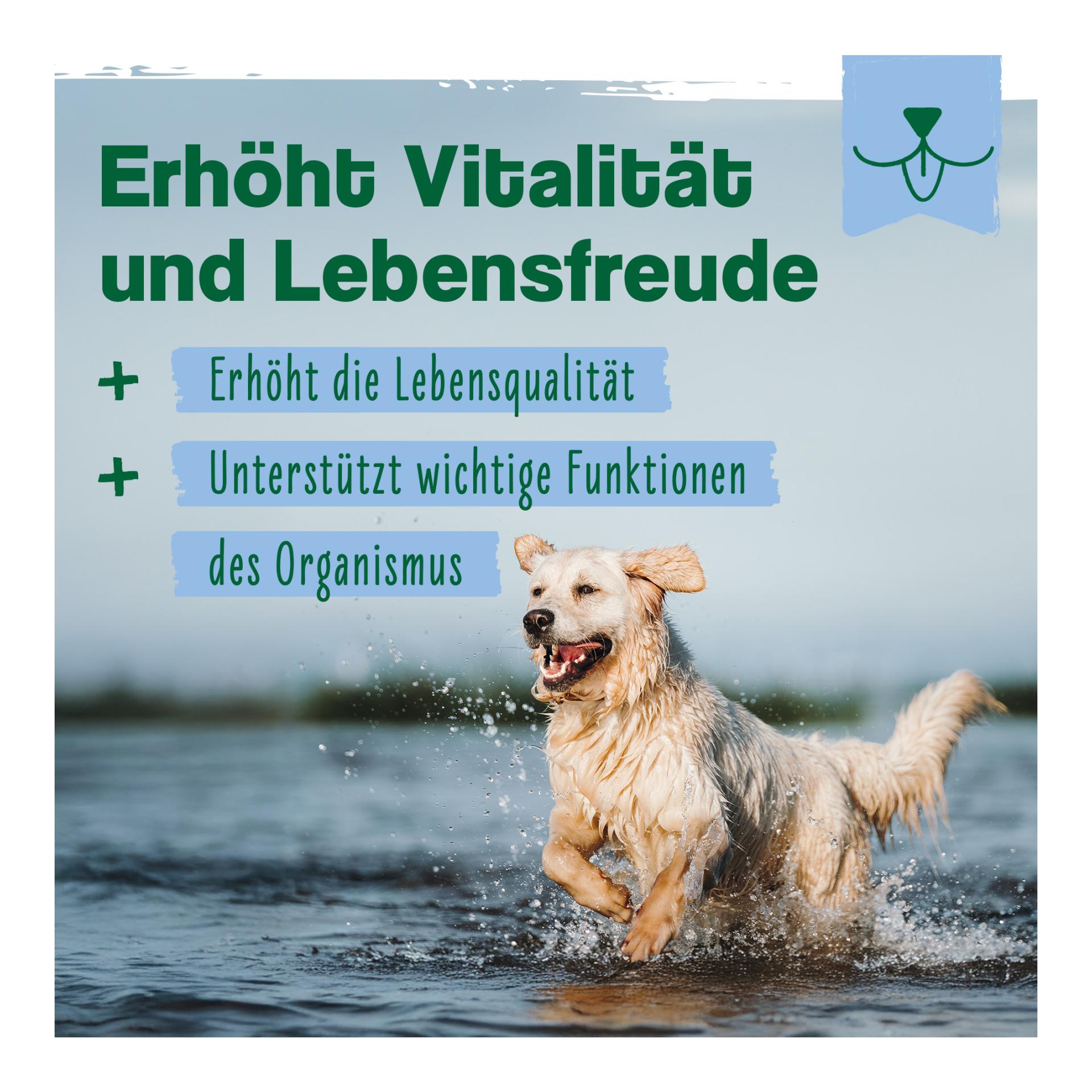 IdaPlus Jus multi-vitaminé pour chiens – 17 vitamines importantes pour les chiens