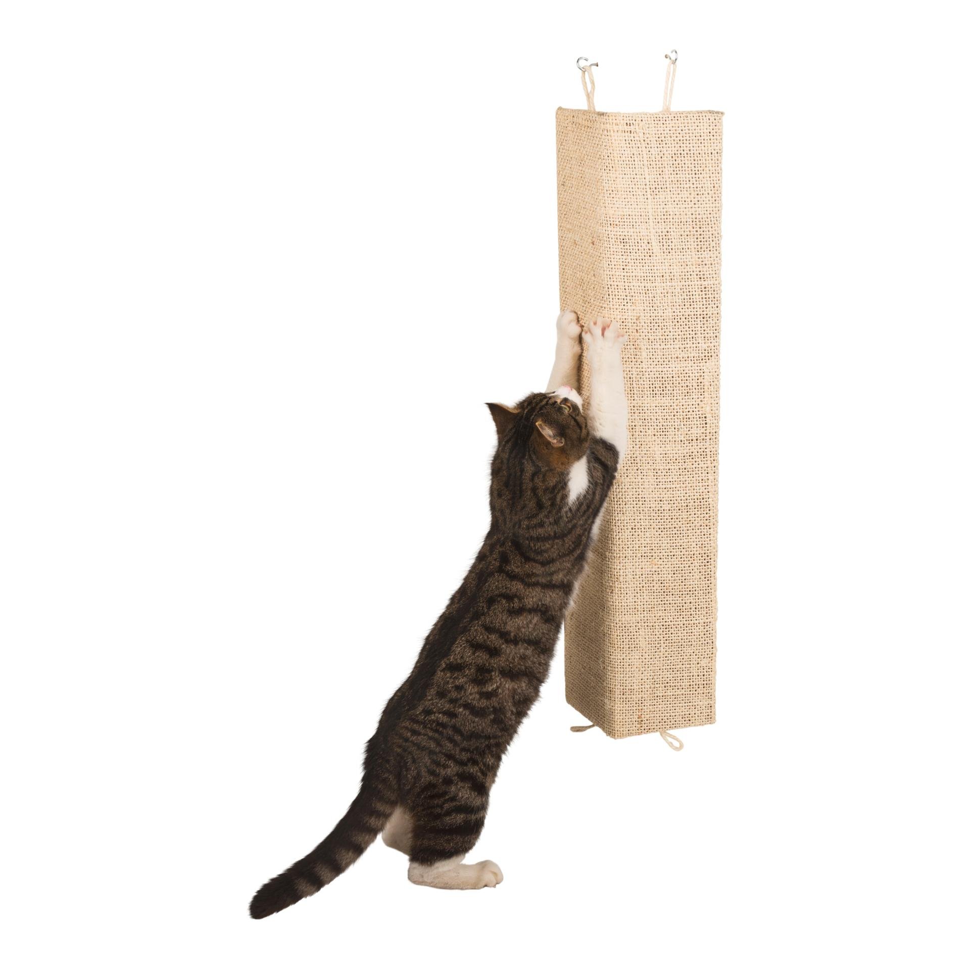 Sisal Kratzbrett Kevin