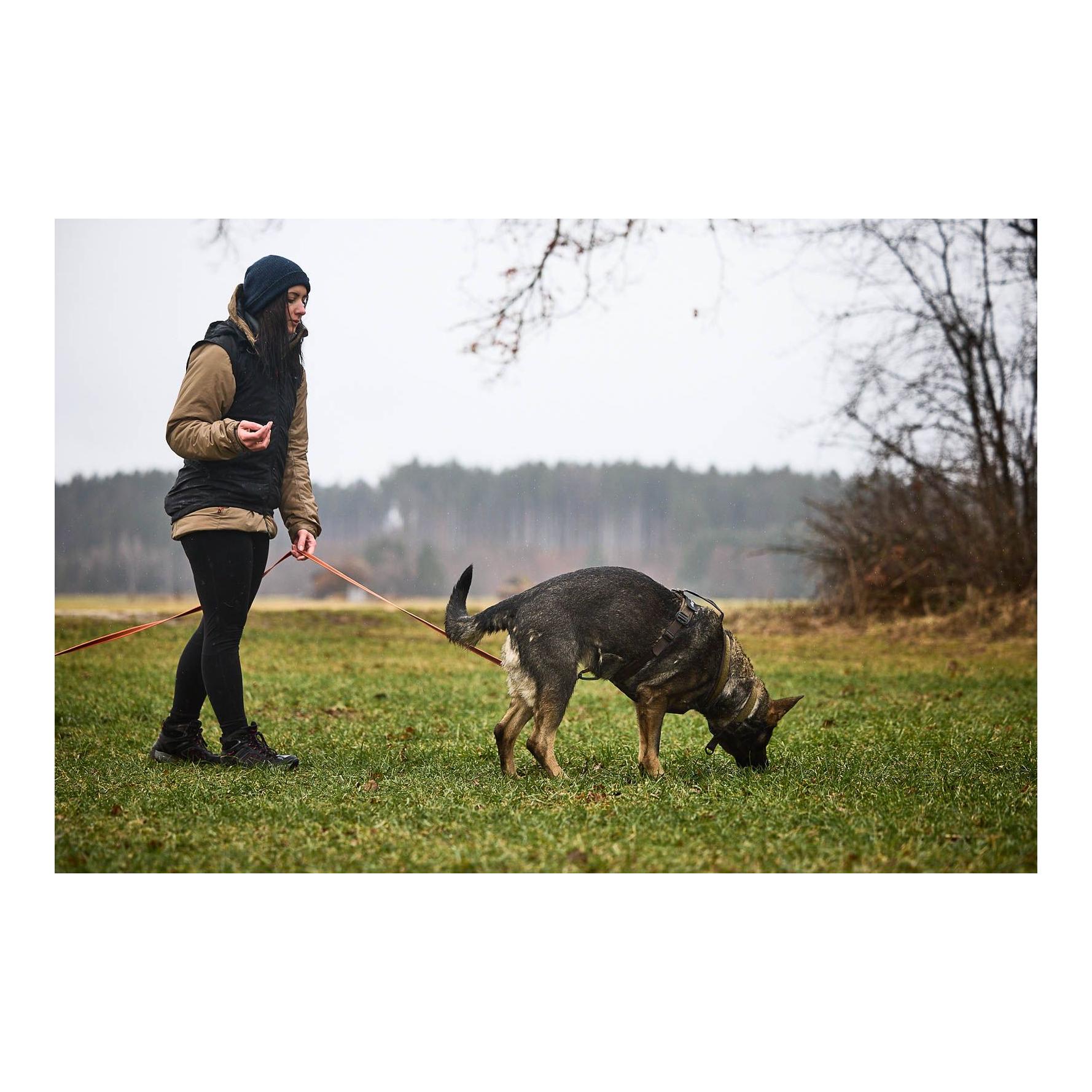 Hundegeschirr Line Harness Grip Working Dog