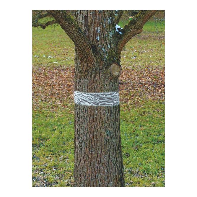 Raupen- und Ameisenleimring