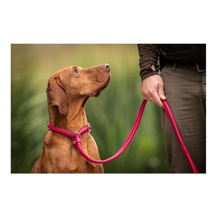 Maul Lederwaren Retriever - Leine Lipstick