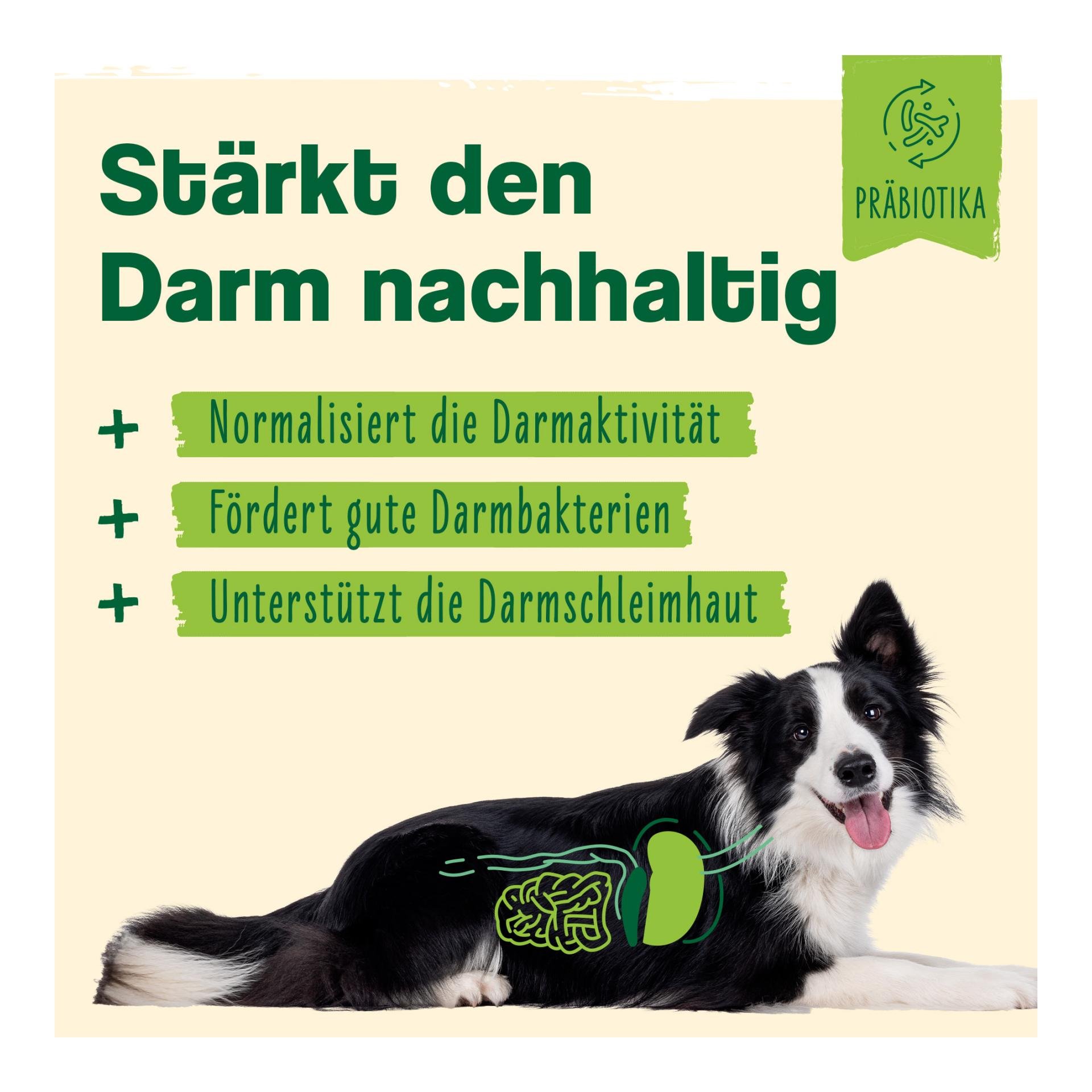 IdaPlus Heilmoor - Verbessert die Kotbeschaffenheit