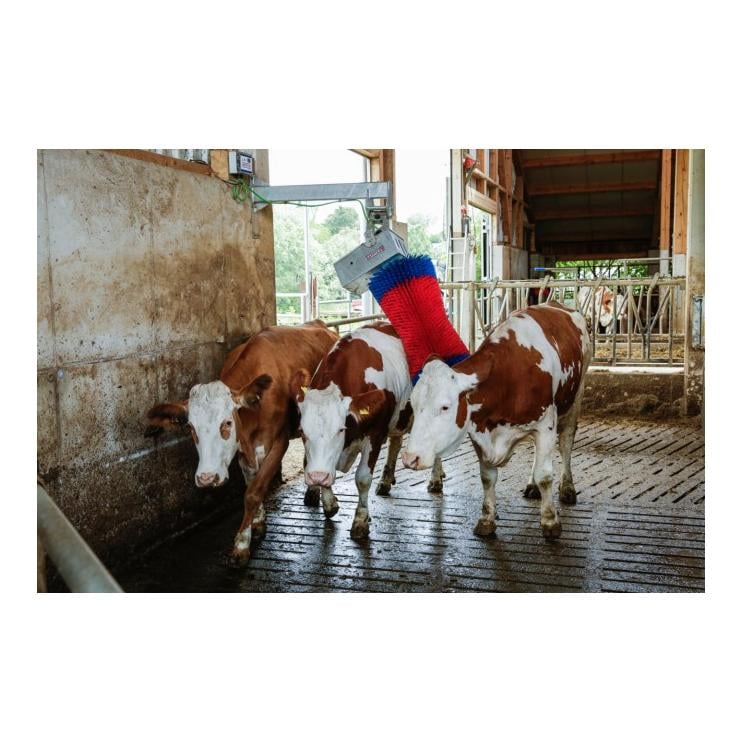 Kuhputzmaschine Maxi Swing