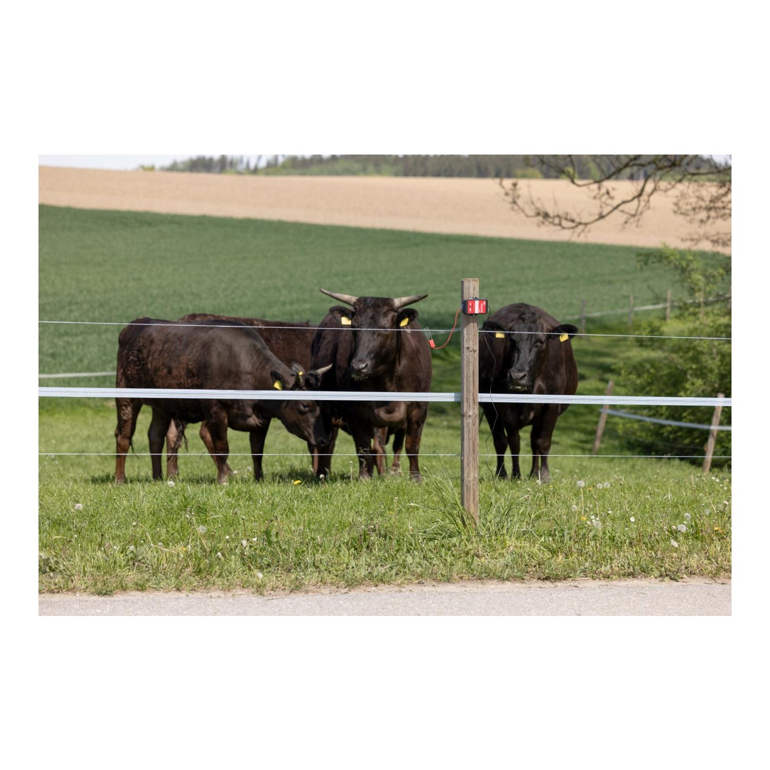 Smart Satellite - Zaun- und Batterieprüfer