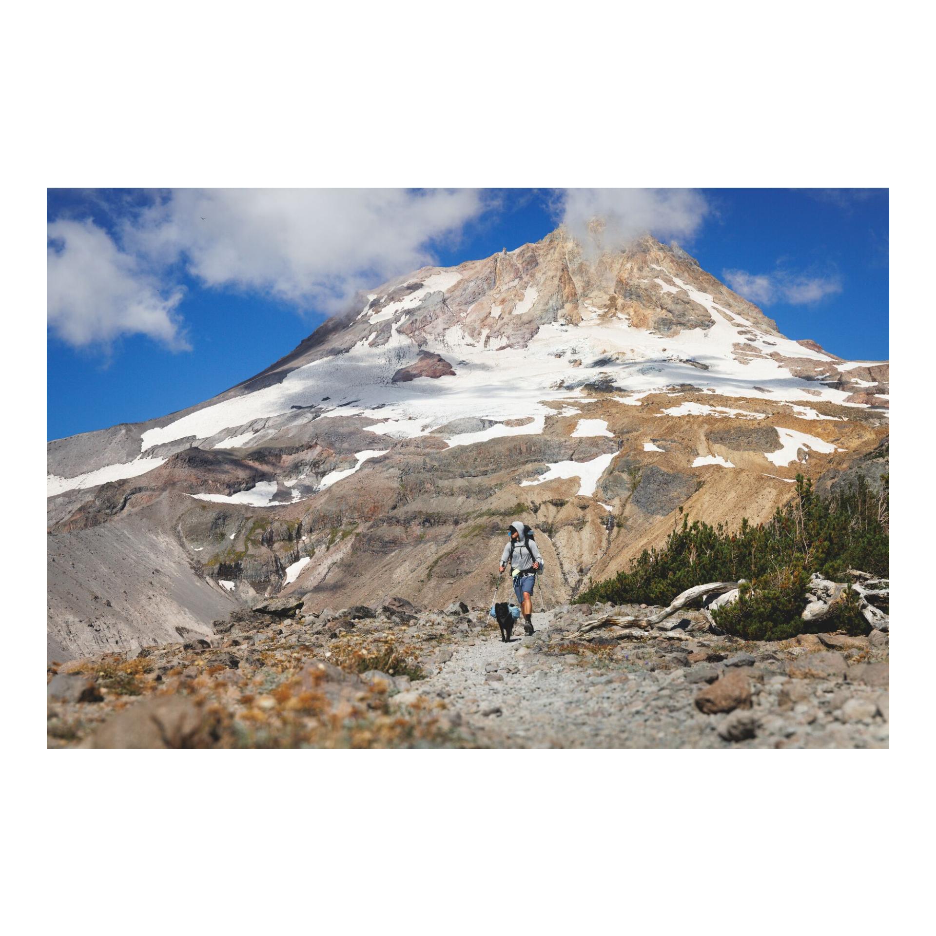 Ruffwear Palisades™ Pack - Sac à dos pour chien