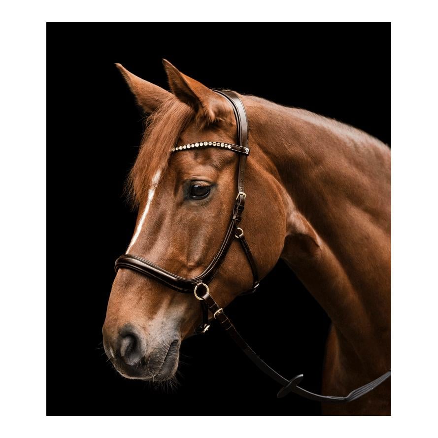 Trensenzaum X-Line Gebisslos Sensation