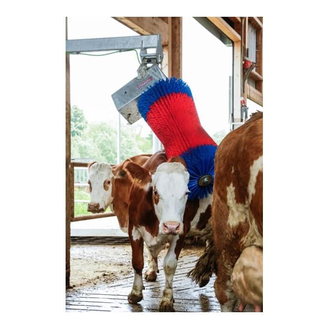 Kuhputzmaschine Maxi Swing