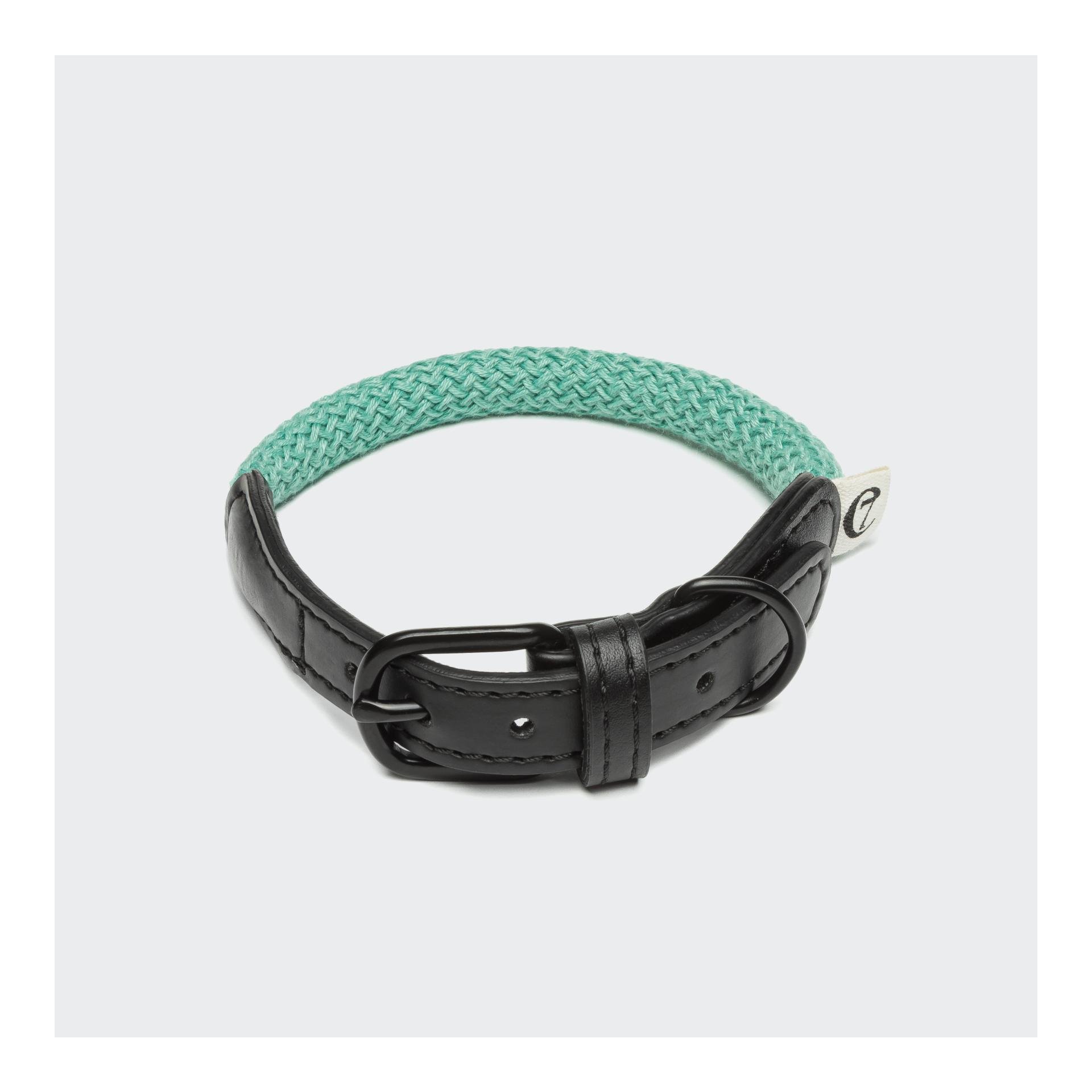 Hundehalsband Mauerpark