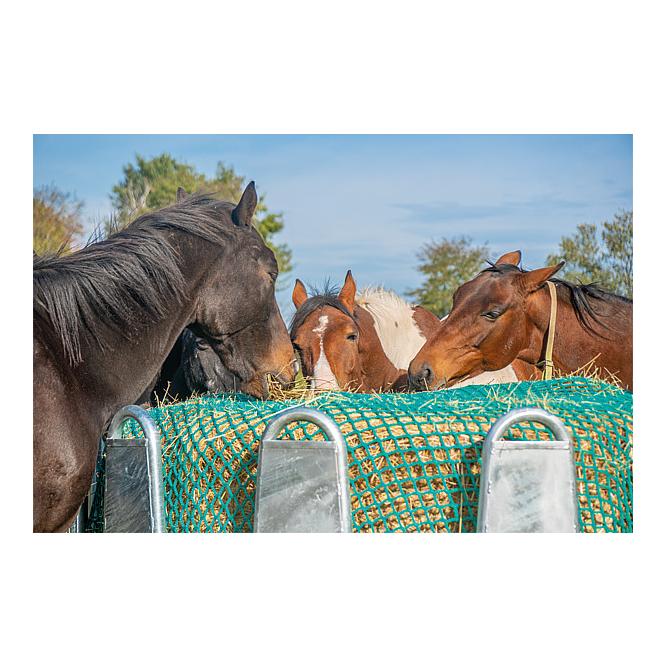 Image of Patura Futtersparnetz Maschenweite 4,5 x 4,5 cm bei Hauptner.ch