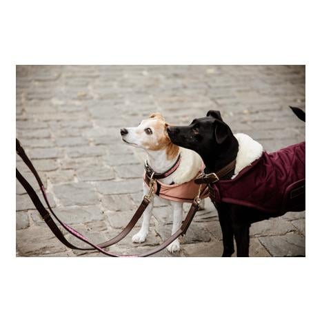 Hundeleine Handgemacht Pearls - pink