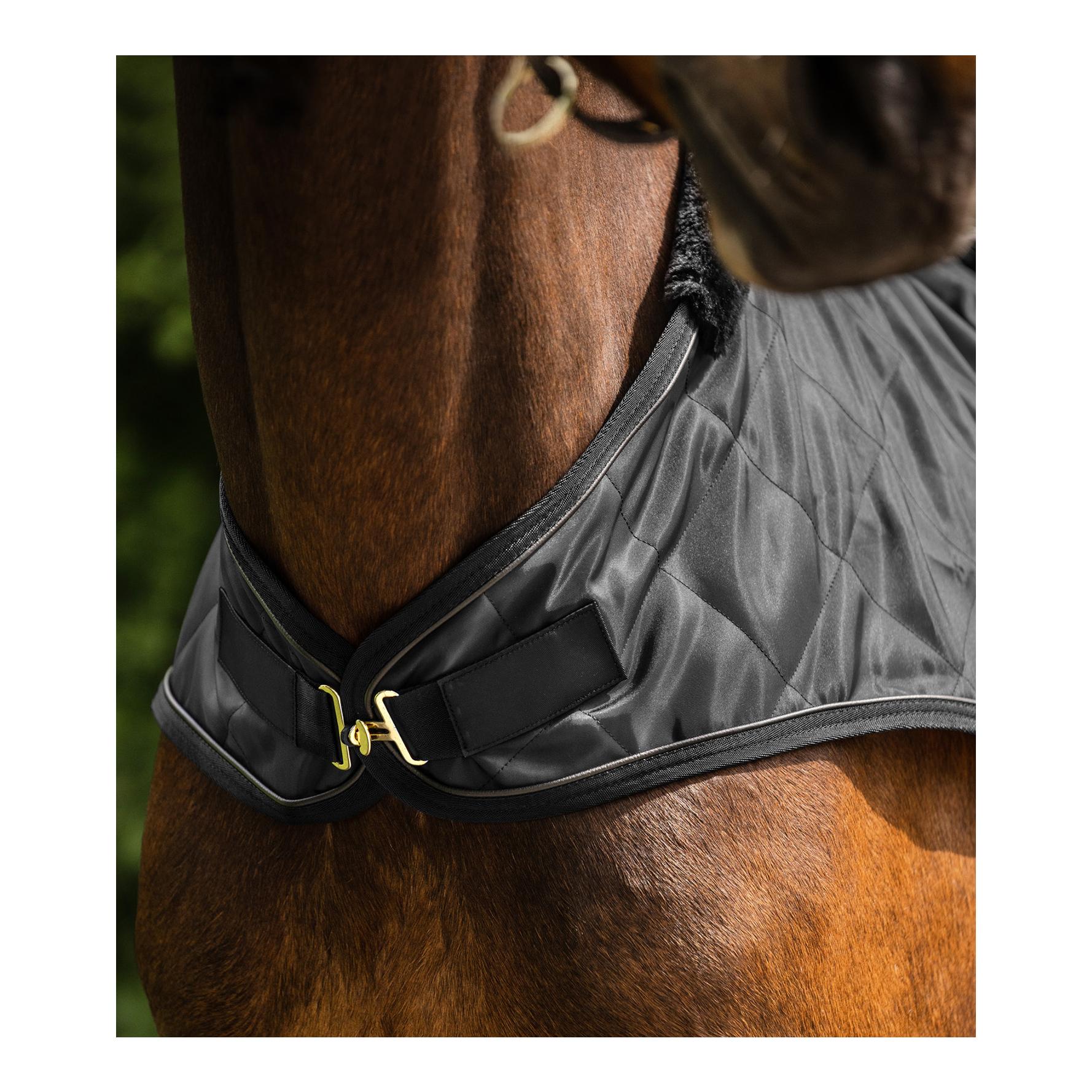 Waldhausen Führmaschinendecke Exclusive 50g