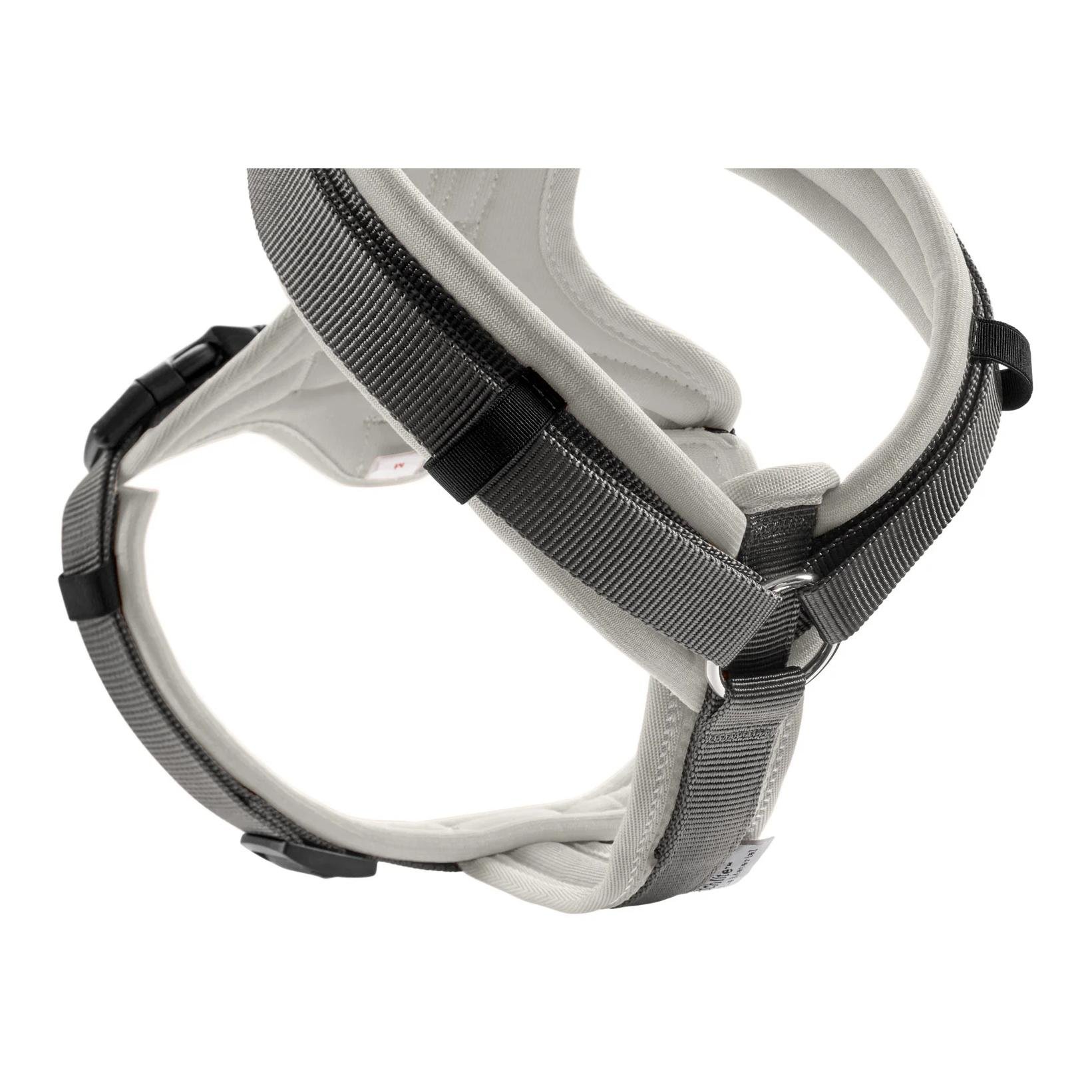 Hundegeschirr Maldon Up