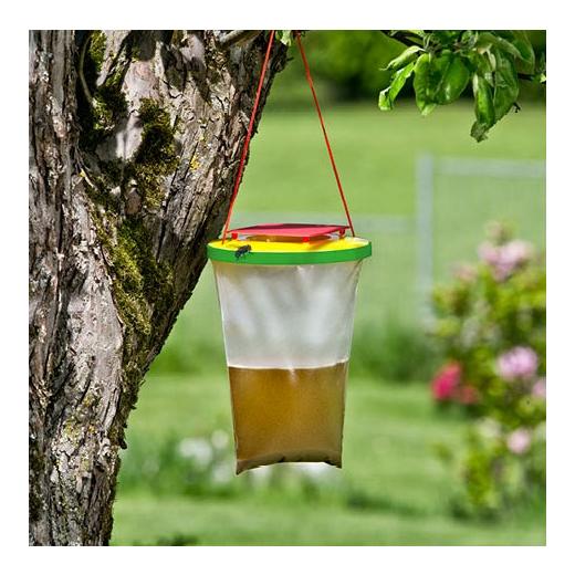 Piège à mouches jetable