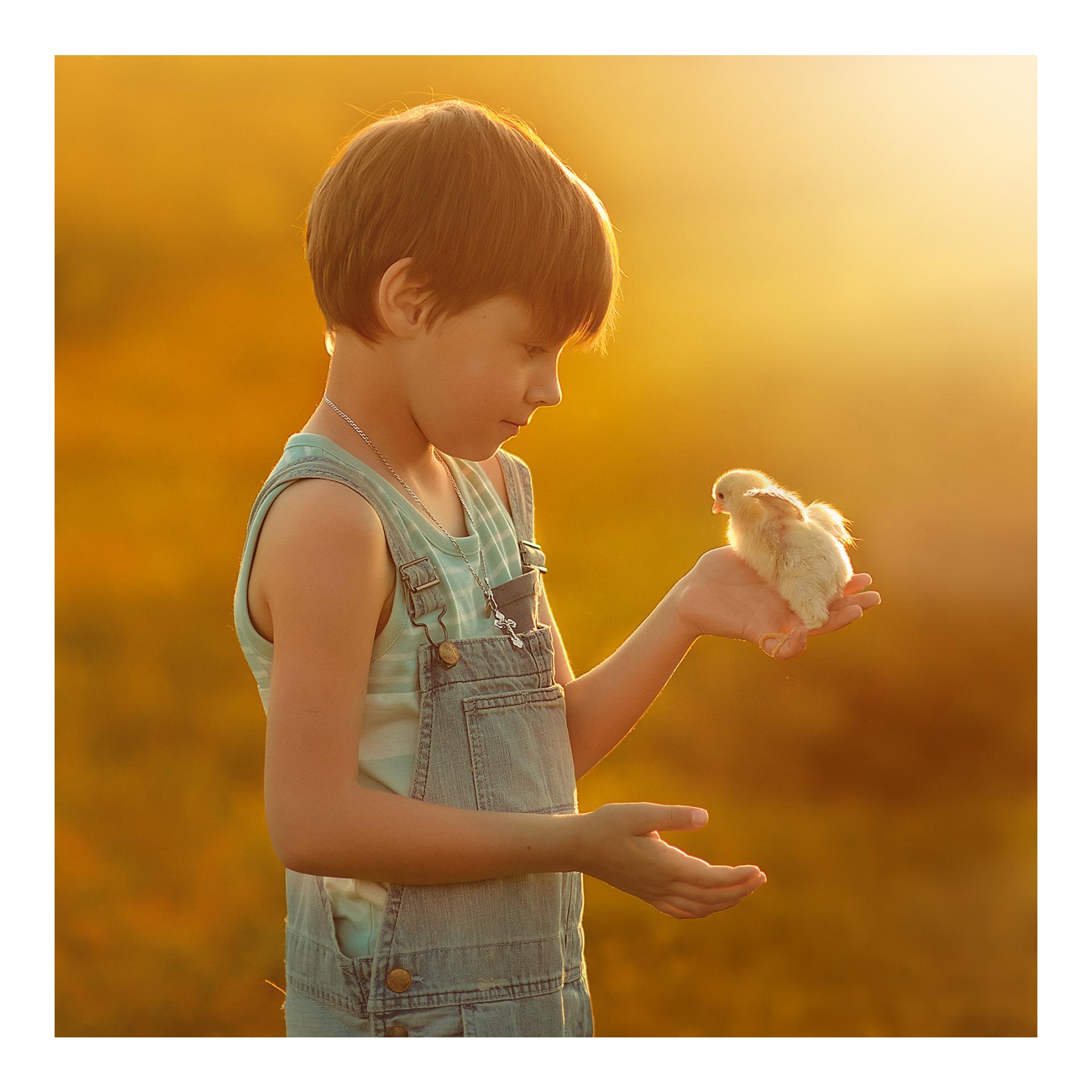 Terre de diatomée Natur - Terre de diatomée en poudre