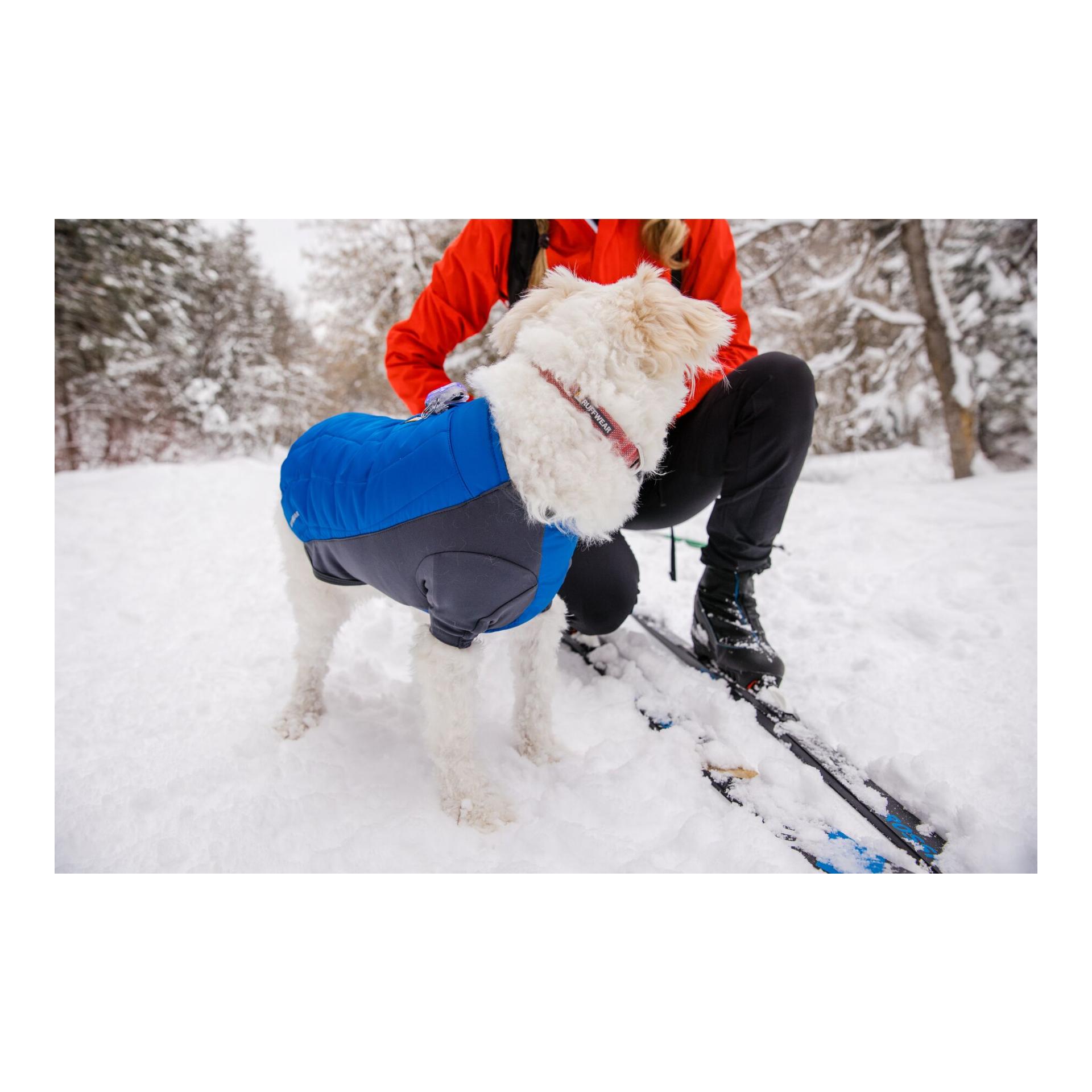 Powder Hound™ Jacket Hundejacke