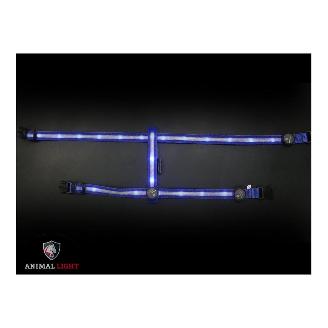 Leucht - Hundegeschirr "Ninja" - blau