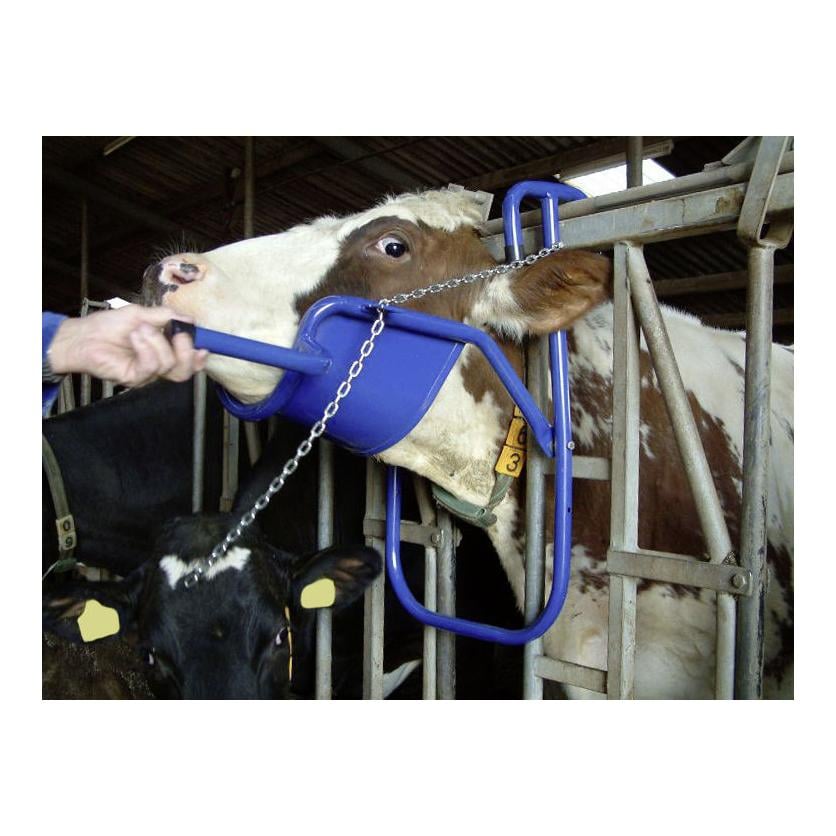 Vink-Kopfstütze für Kühe