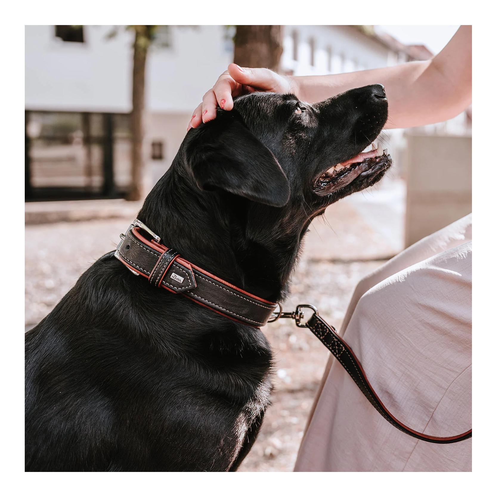 Halsband Canadian Up