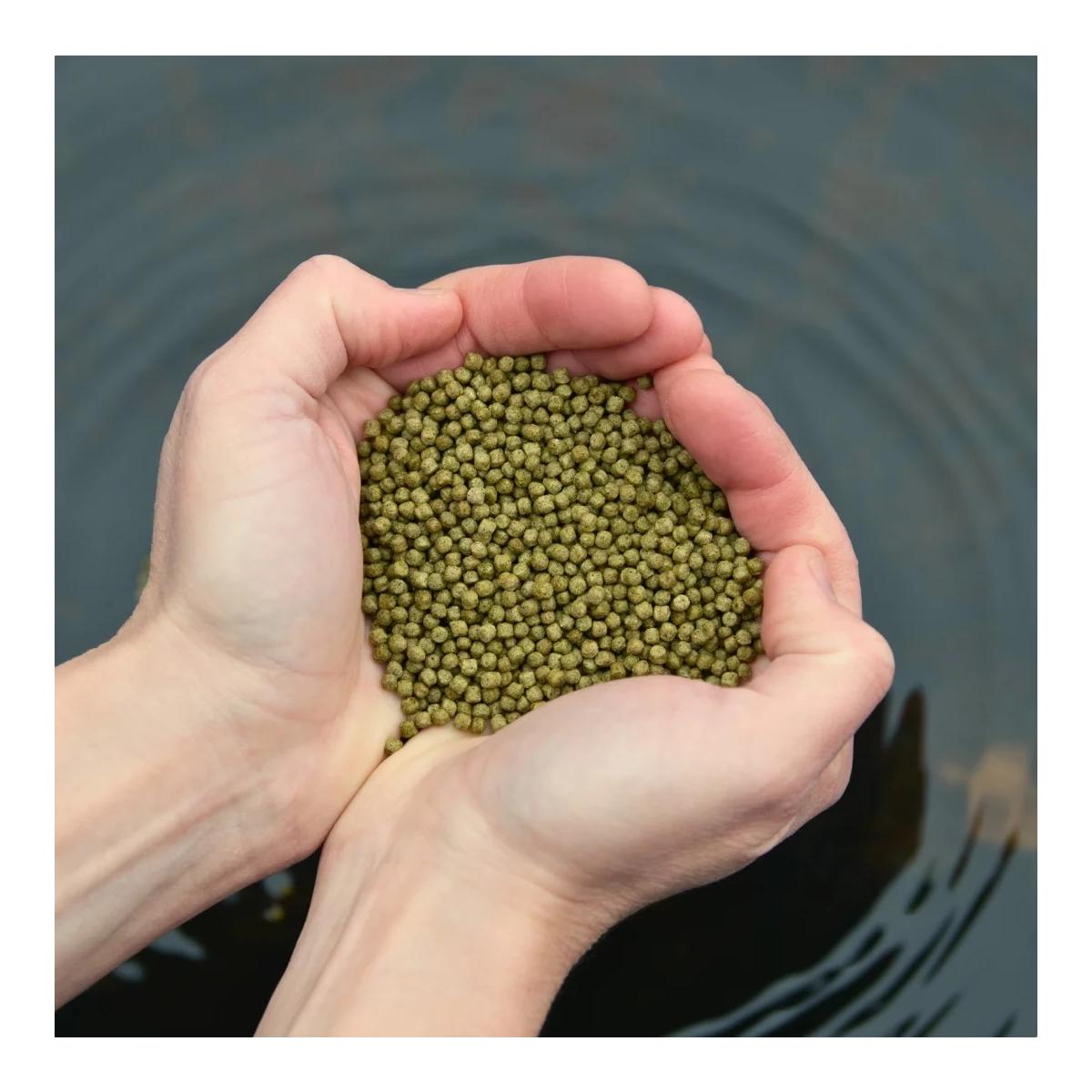 Pond Koi Beauty Pellets Staple (3.0 mm) Fisch und Teichfutter