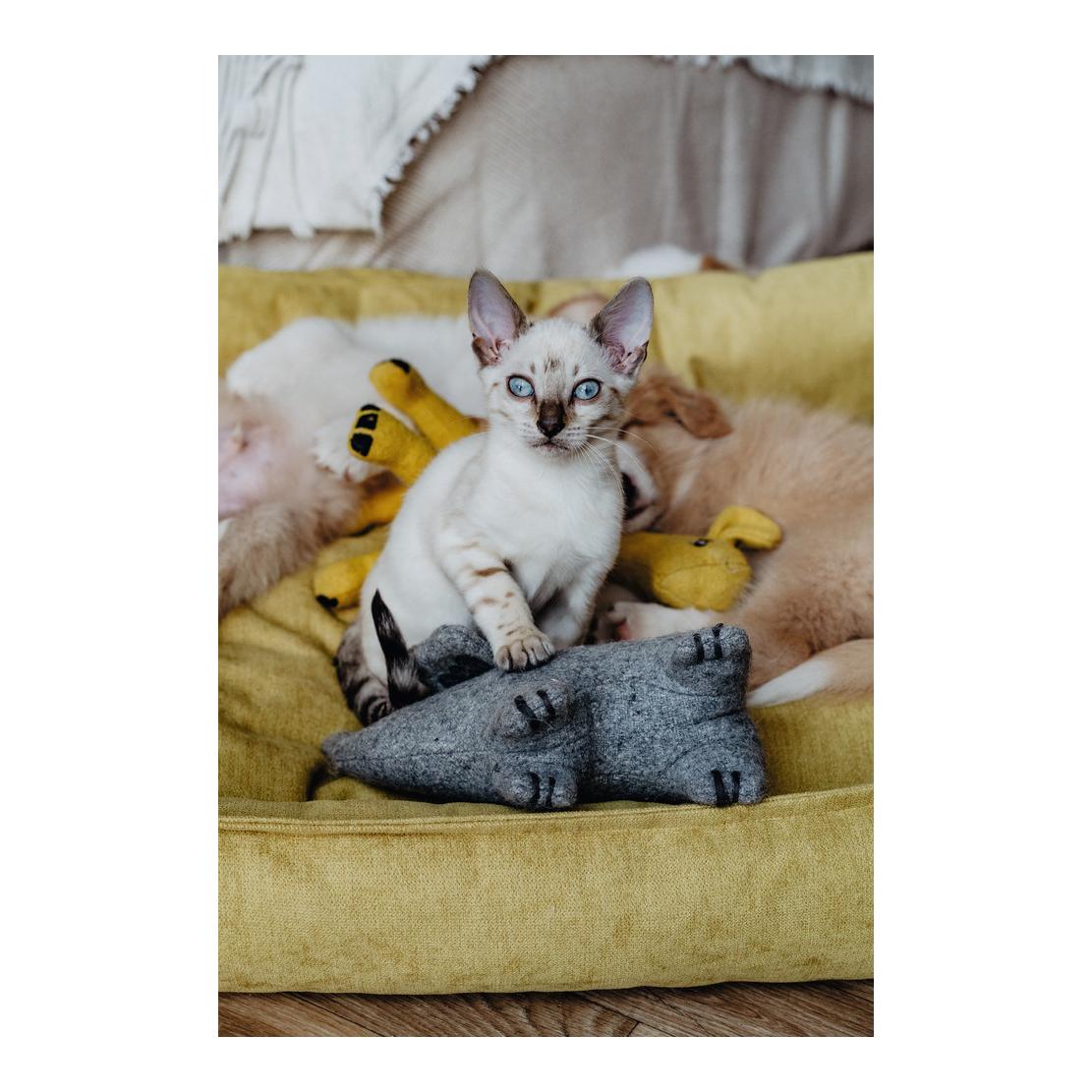 Canapé pour chien Eiby - jaune