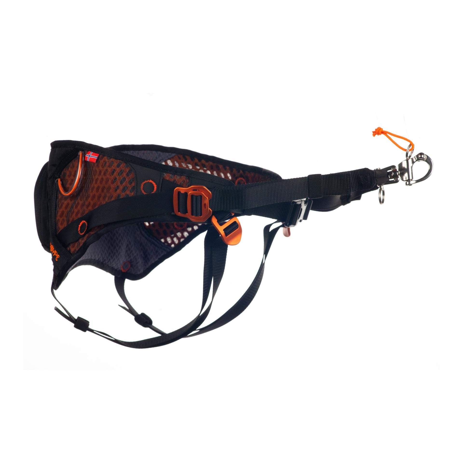 Image of Non-stop Dogwear Løype Belt - Schwarz - bei Hauptner.ch
