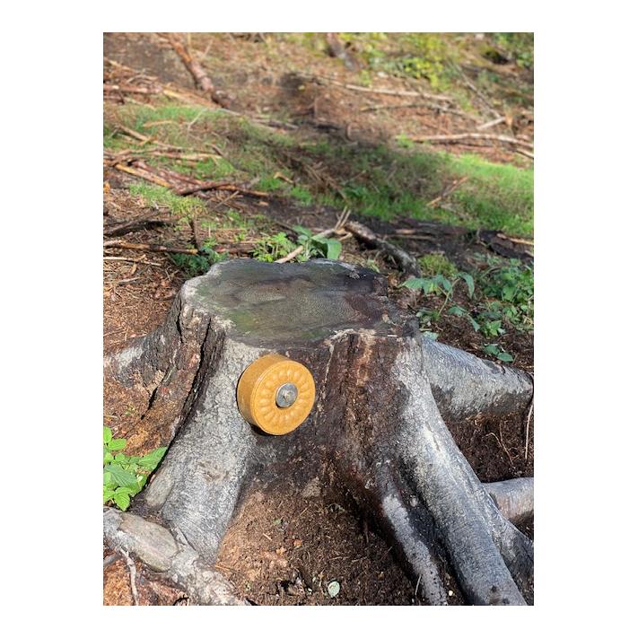 Leckstein Sauerdorn Beere (süß/sauer)