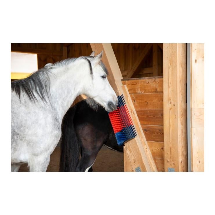 Brosse à gratter XL