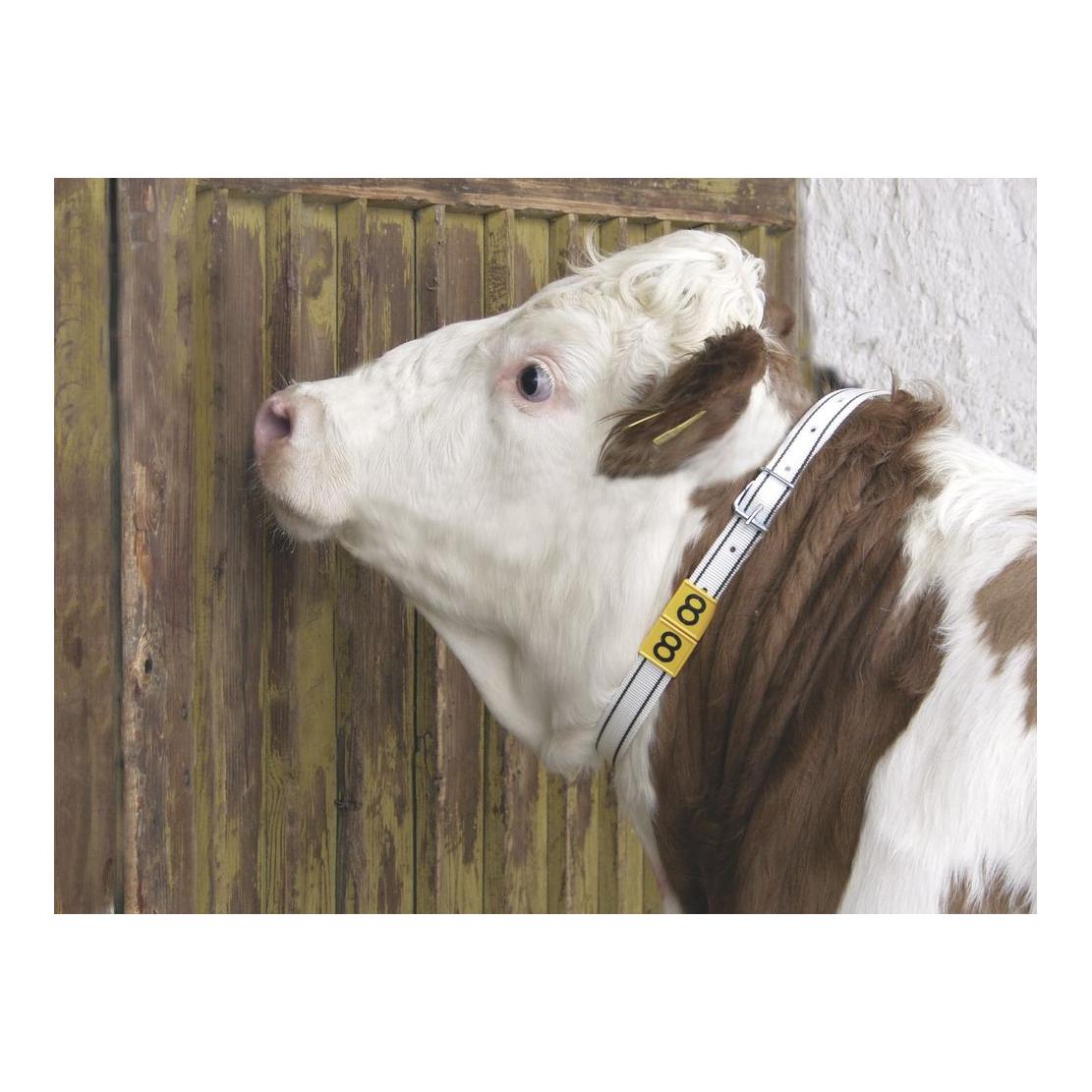 Ruban de marquage avec boucle-rouleau - noir/blanc