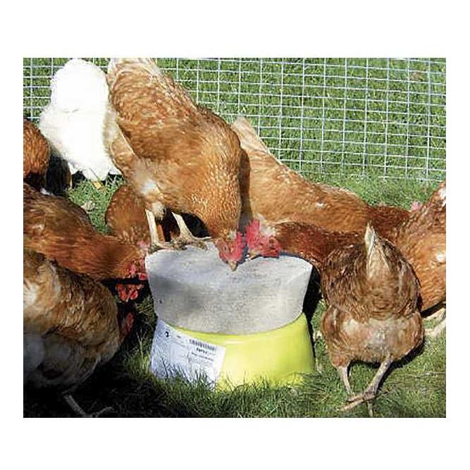 Pierre à picorer pour volaille