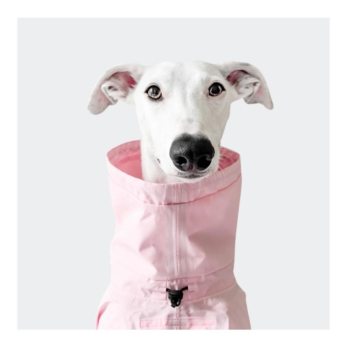 Hunderegenmantel Aktiv