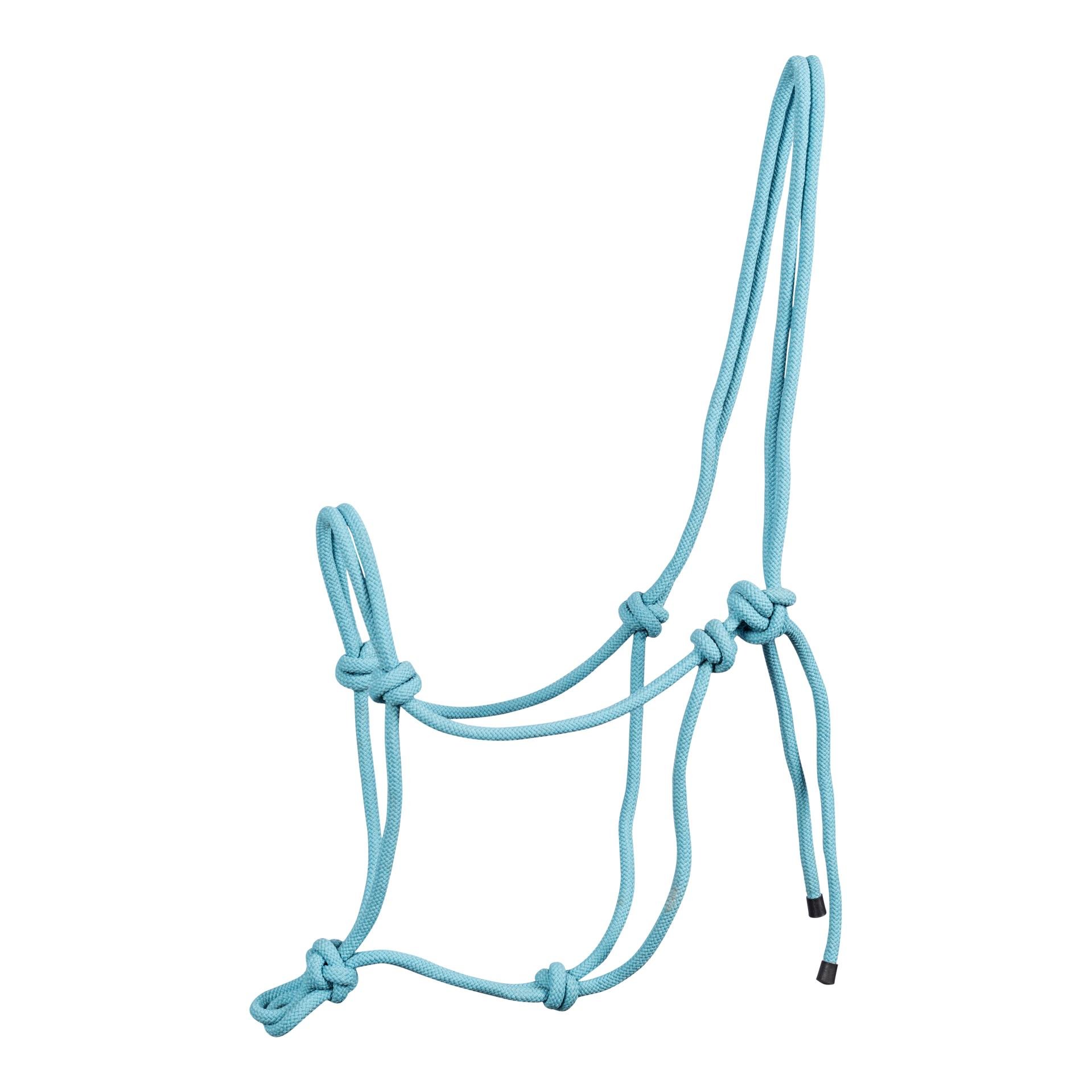 Knotenhalfter Exercise