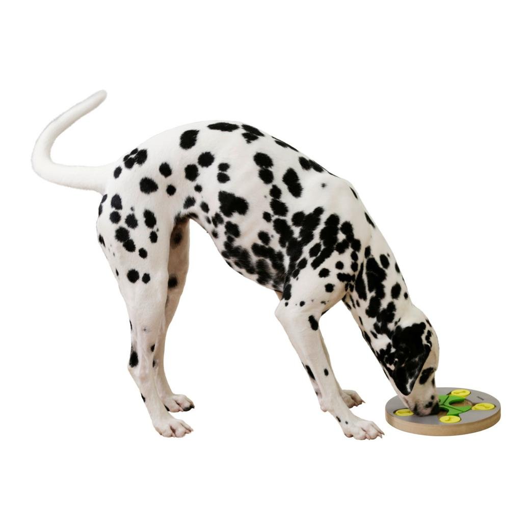 Denk- und Lernspielzeug Switch - grün/gelb/grau