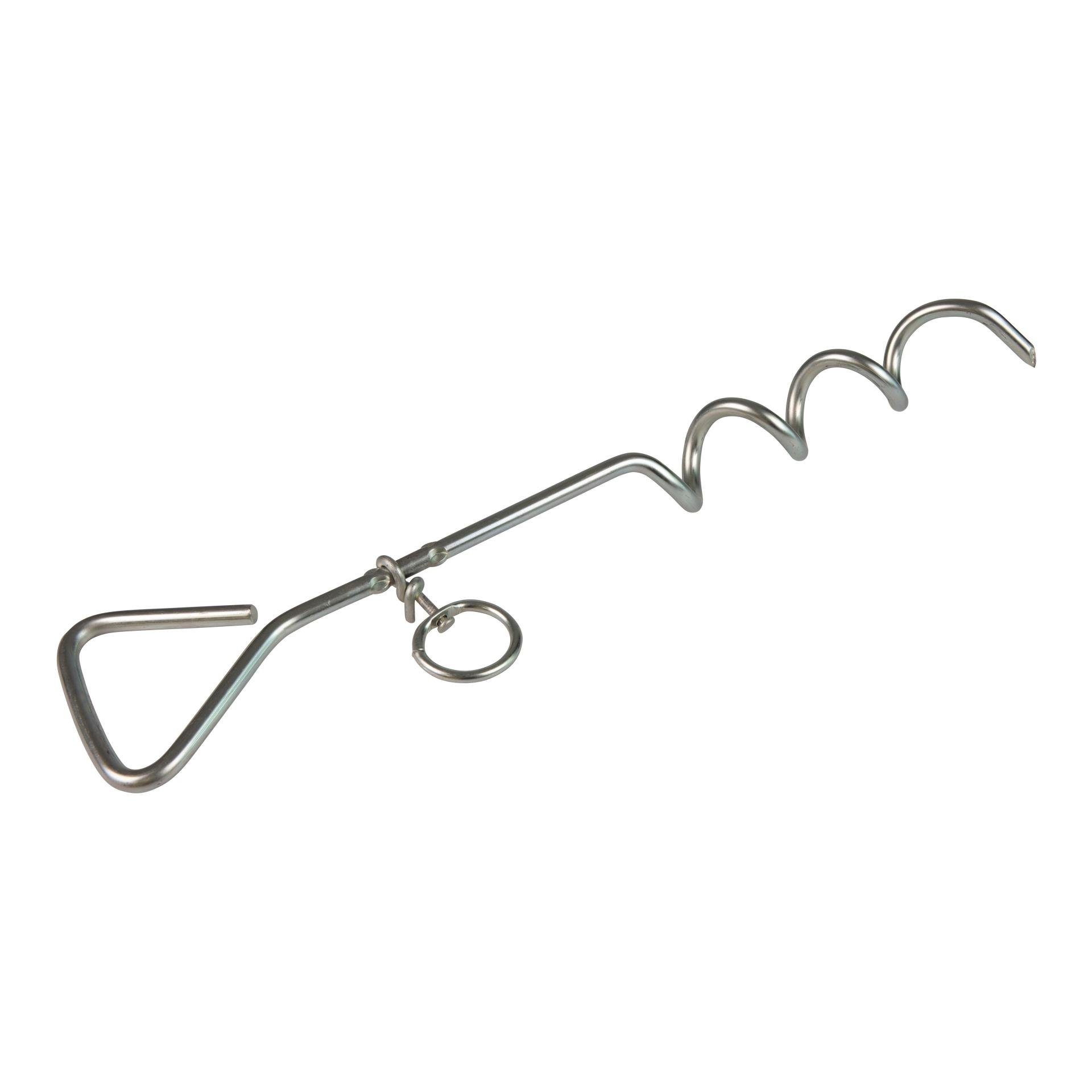 Sardine spiralée grande taille