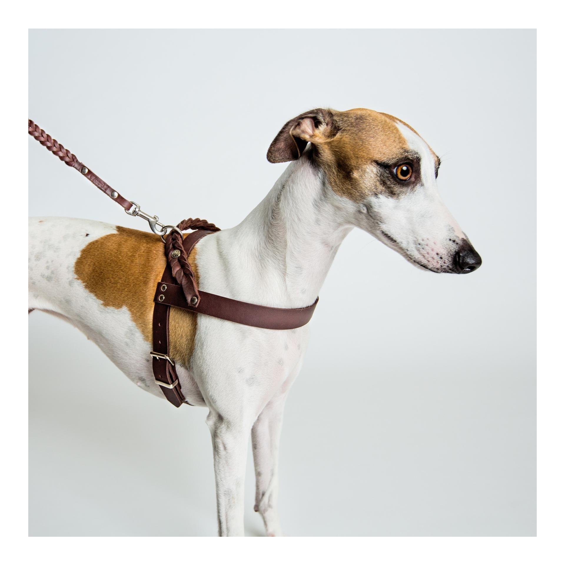 Geschirr Central Park Saddle Brown Echtleder