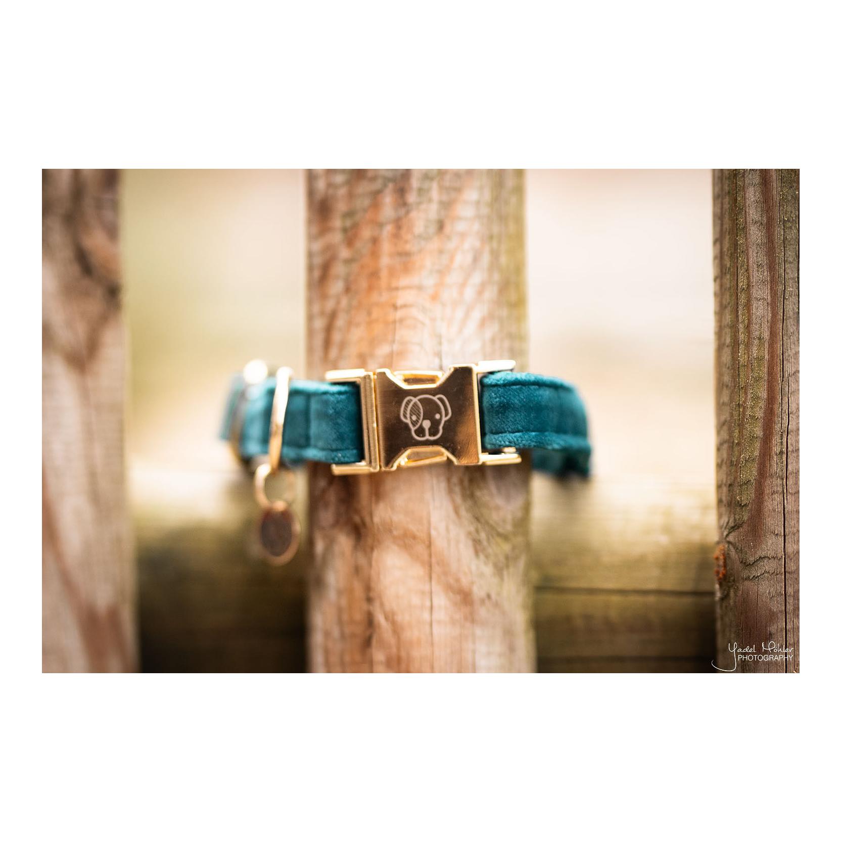 Hundehalsband Velvet - emerald
