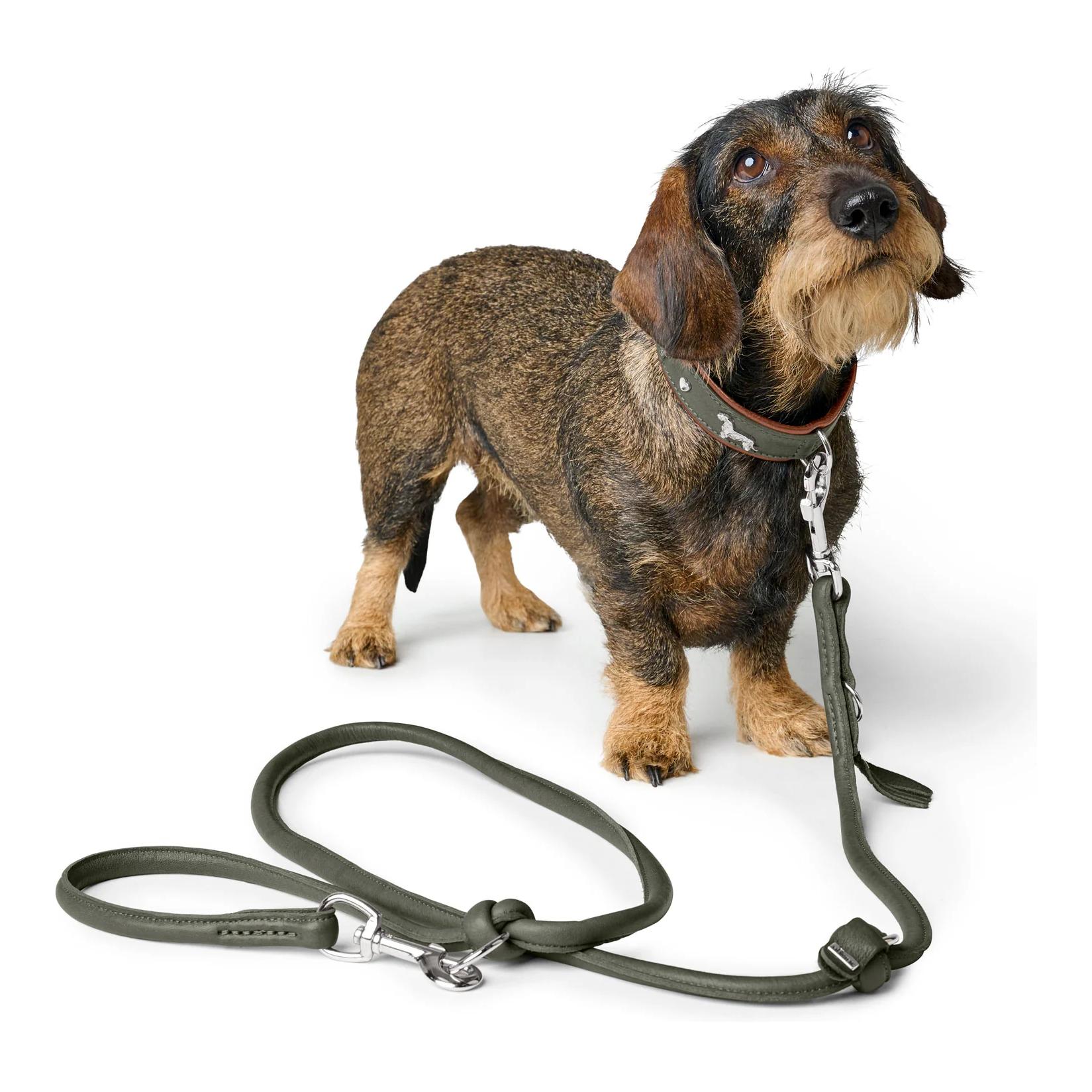 Verstellbare Hundeleine München