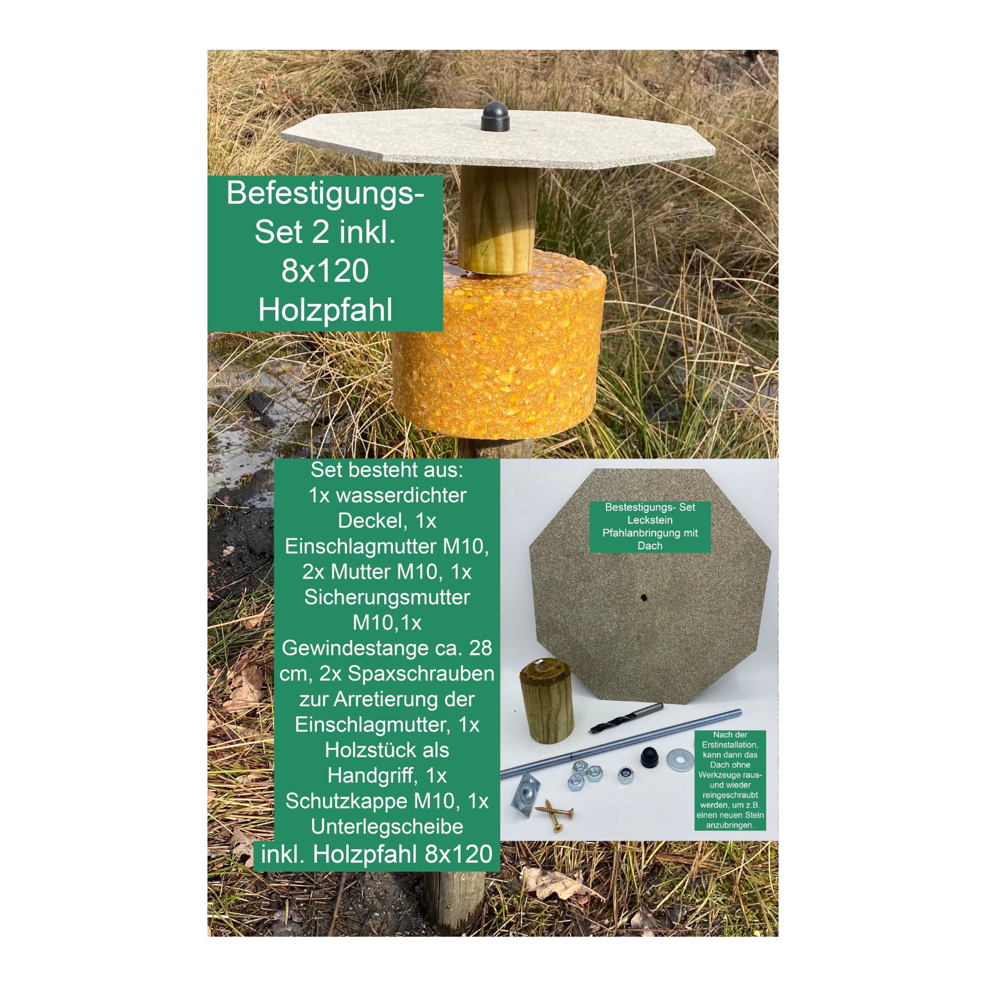 Befestigungsset Pfahlanbringung für Lecksteine